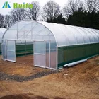 Low Cost Single Span Commercial Used Aquaponic Greenhouse