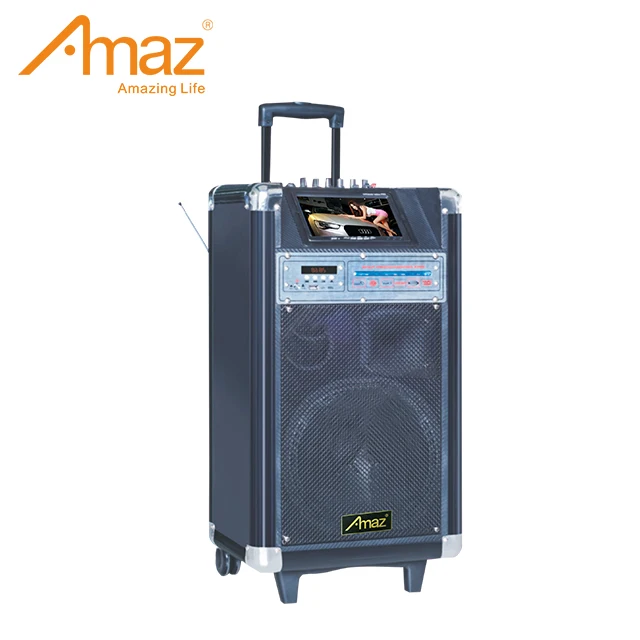 dolphin dual 10 inch speaker