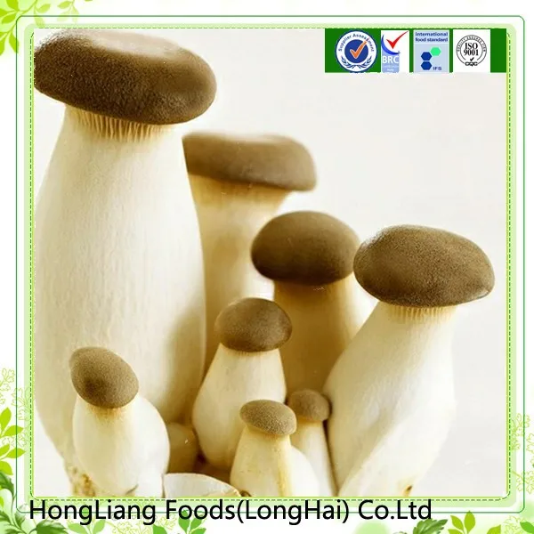 2018 new crop fresh king oyster mushroom for sale