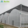 /product-detail/low-cost-agricultural-tropical-greenhouse-polyhouses-for-vegetable-60704979811.html