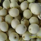 Pear Pear 2012 Fresh Ya Pear