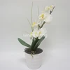 /product-detail/2aa-led-lighted-artificial-white-orchid-arrangement-battery-operated-phalaenopsis-pot-with-6-lights-60815668352.html