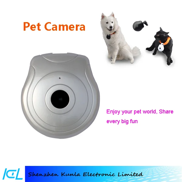 pet cam mini automatic pet camera dog cat video photo dv recoder pet cam mini automatic pet camera dog cat video photo dv recoder