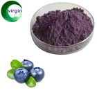 99% Blueberry Fruit Extract Blueberry Extract