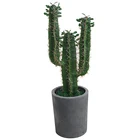 Nearly Natural Faxed Succulent Plants Decorative Artificial Cactus Plants Tree for Home and Garden
