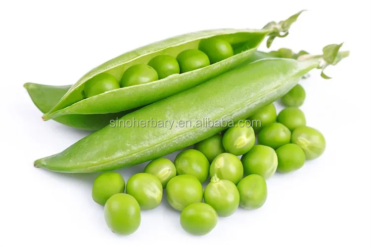 organic vegetable snow pea seeds for growing