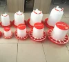 /product-detail/new-material-automatic-poultry-farming-plastic-broilder-chicken-feeding-62007417618.html