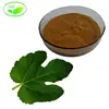 Top Quality Fig Leaf Extract/Fig Leaf P.E/Fig Leaf Extract Powder