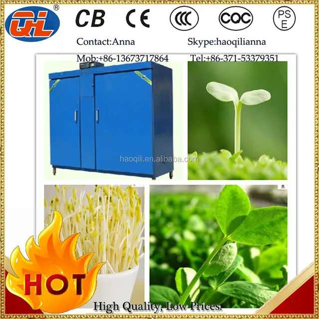 machine bean sprouts|wheat sprout machine|soya bean sprout