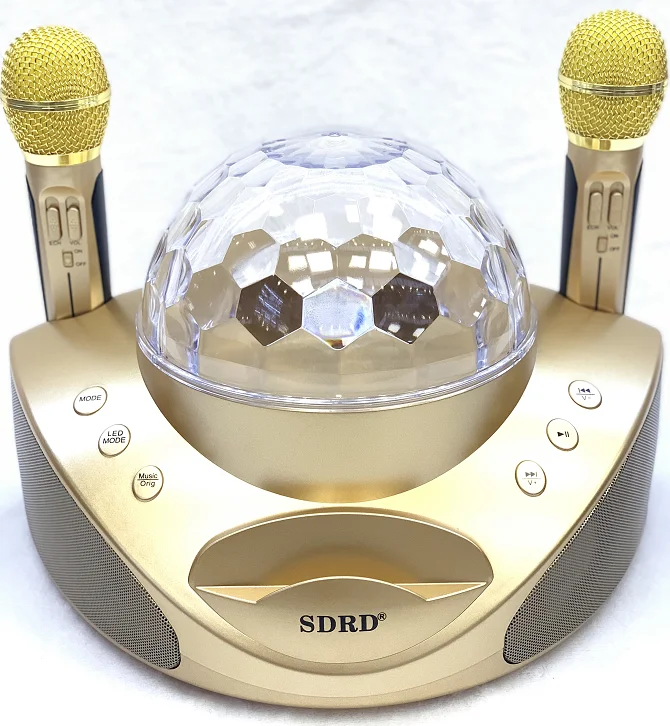 Cheap Price2 in 1 Family KTV Portable Wireless Live Dual Microphone system Bluetooth Speaker(Gold) japan - ANKUX.COM