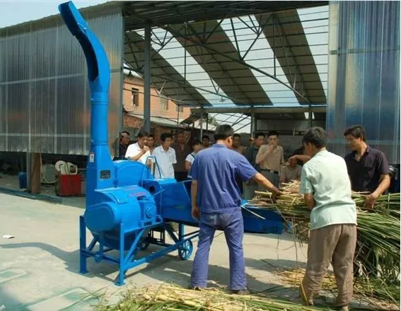 QQ20120216162918.jpg