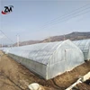 Low cost agricultural greenhouse for sale/ invernadero