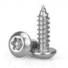 Anti-theft flower pan torx head self tapping screw