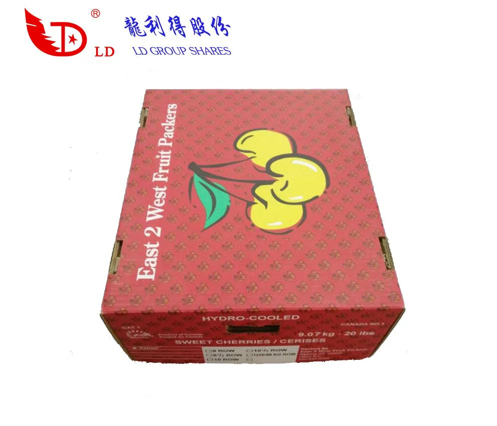 corrugated carton packaging file box with specification