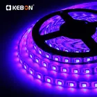 DC12V RGB Wholesale SMD 5050 5M Flexible Tube Strip LED Lighting