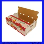 Durable flat packed shipping 4 color printing carton box for tomato