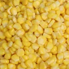 High quality BRC certified IQF frozen sweet corn cob cut whole kernels hot sale