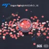 Shape bulk high quality glitter dust for crafts and crystal ball