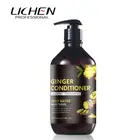 Shampoo Argan Oil Restorative Anti Dandruff Anti Hair Loss Hair Shampoo For Hair Loss