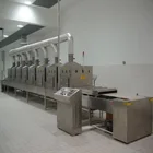 microwave dryer for vegetable tunnel microwave dryer for sale fruit microwave drying equipment and sterilizer machine