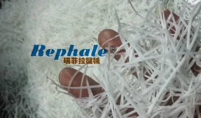 Automatic Stainless Steel Coconut Slicer