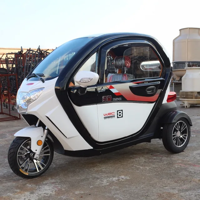 New 1000w Power Adult 3 Wheel Adult Electric Tricycle with full cover