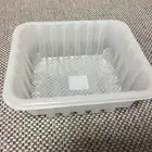 Shandong China Factory Vacuum Forming Food Industry Packaging Plastic Food Delivery Box