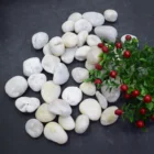Hot Chinese Size 3-5cm Tumbled Natural White Garden Landscape River Pebble Stone