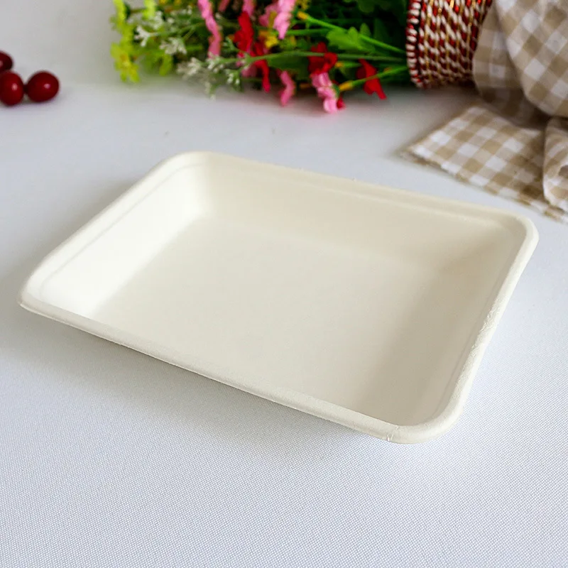 Whole Disposal Dinner Plates Online Best Hot Biodegradable Food Ng Strong Disposable