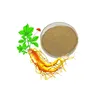 Hot selling Ginseng Root Extract 10%-80% Ginsenoside for Medicine