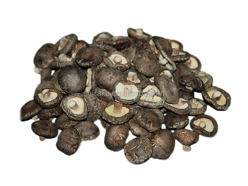 henan compressed black fungus agaric dried mushroom