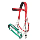 PVC Horse Products Arabian Endurance Anatomic Horse Bridle