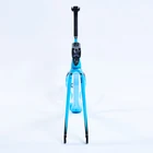 High Quality Enduro Race Road Bike Carbon Aero Disc Frame Triathlon