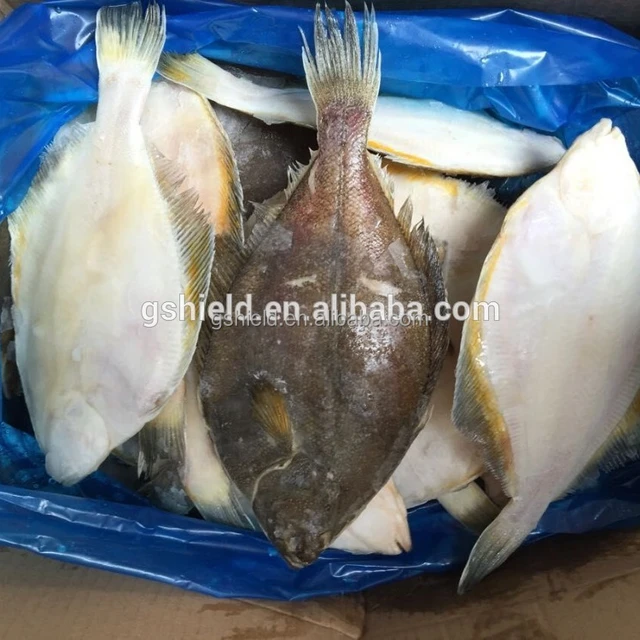 iqf frozen bream-source quality iqf frozen bream from global iqf