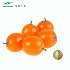 Gold supplier sea buckthorn extract powder CAS 90106-68-6/ sea buckthorn oil