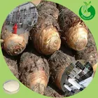 Pure Taro 100% Pure Taro Root Extract Powder