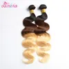 Best Virgin Hair Three Tone Ombre Brazilian Hair Weave Wet And Wavy Body Wave Hair Extensions Human Color #1B/4/27