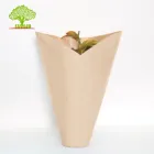 50G Stand Up Kraft Paper Bags Bag Flower Box Biodegradable Flower Sleeve