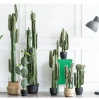 Cactus Grafted Cactus Popular Decor Item 125cm Cactus Christmas Tree Wholesale Grafted Cactus