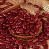 AD Drying Process and Kidney Beans Product Type Red Kidney Beans