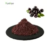 /product-detail/freeze-dried-organic-acai-berry-powder-60763278264.html