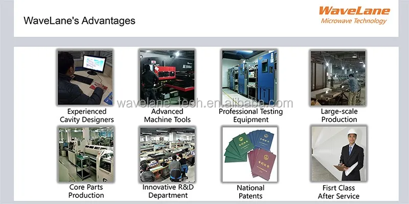 High Efficiency Microwave Nuts Drying Machine Manufacturer