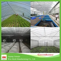 China Supplier Multi Span Plastic Film