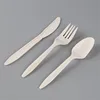 Cornstarch Biodegradable PLA Eco Friendly Plastic Cutlery