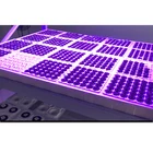 Custom OEM Plastic Trays Plant Tray Hydroponic Seedling Tray