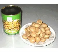 fresh canned mushrooms whole 2840*6