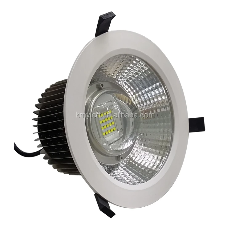 8 inches led downlight.jpg