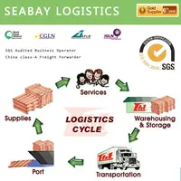Professional From China Export And Imported