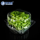Clear Packaging Clear Plastic Packaging Hot Sale Recyalable Clear Plastic Lettuce Packaging Box
