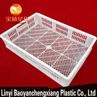 easy clean fashion poultry cage for transport chicken duck cage foldable plastic crate